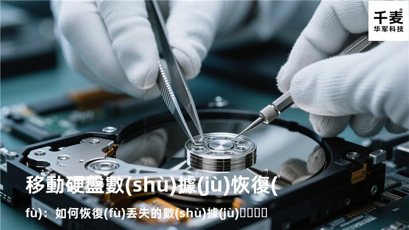 移動硬盤數(shù)據(jù)恢復(fù)：如何恢復(fù)丟失的數(shù)據(jù)，找回重要文件